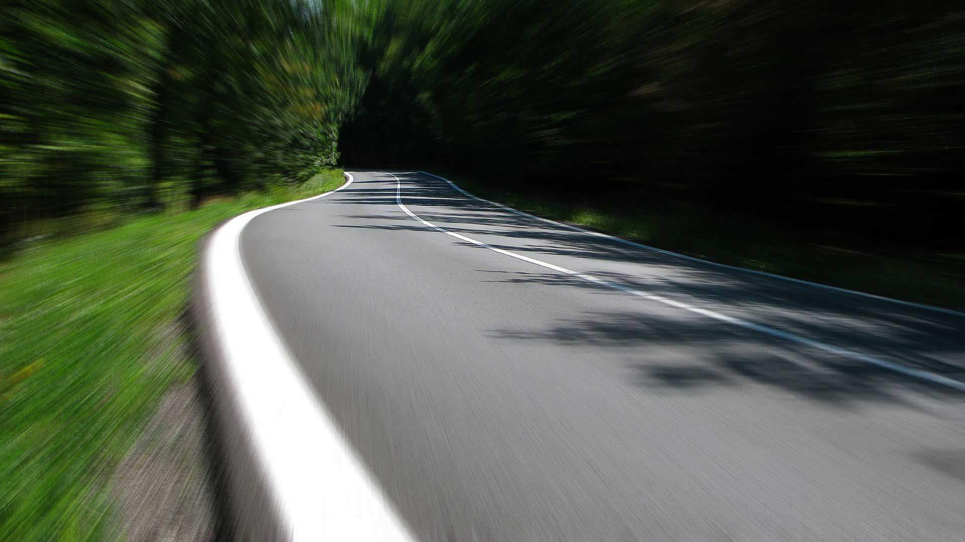 Mangotree Autoverzekeringen, zorgeloos onderweg.