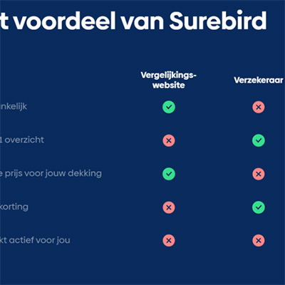 Landingspagina surebird