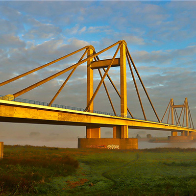 mangotree maas en waal